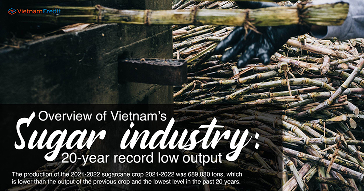 Overview of Vietnam’s sugar industry: 20-year record low output